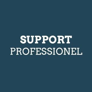 Support Professionel - 1400