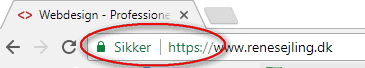 Google Chrome udseende med SSL, https. Hjemmesiden er sikker. Rene Sejling