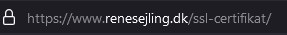Eks. på adresselinje i Firefox for sikker hjemmeside med SSL.