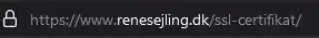 Eks. på adresselinje i Firefox for sikker hjemmeside med SSL.