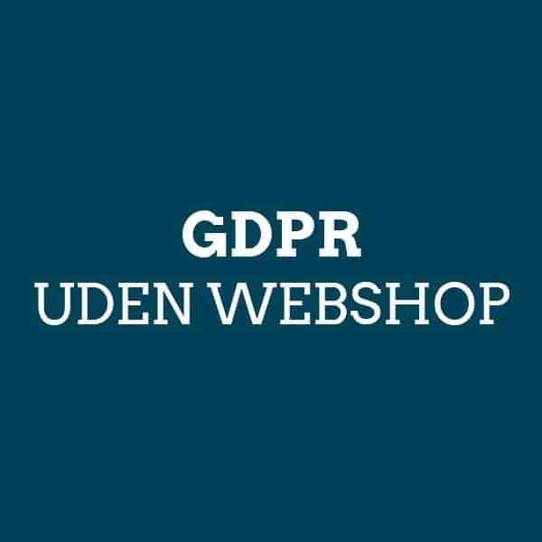 GDPR - Hjemmeside uden webshop