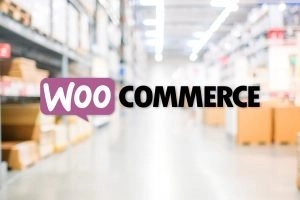 WooCommerce-logo m. lagerhal bagved. Styrk dit salg med en WooCommerce webshop. renesejling.dk