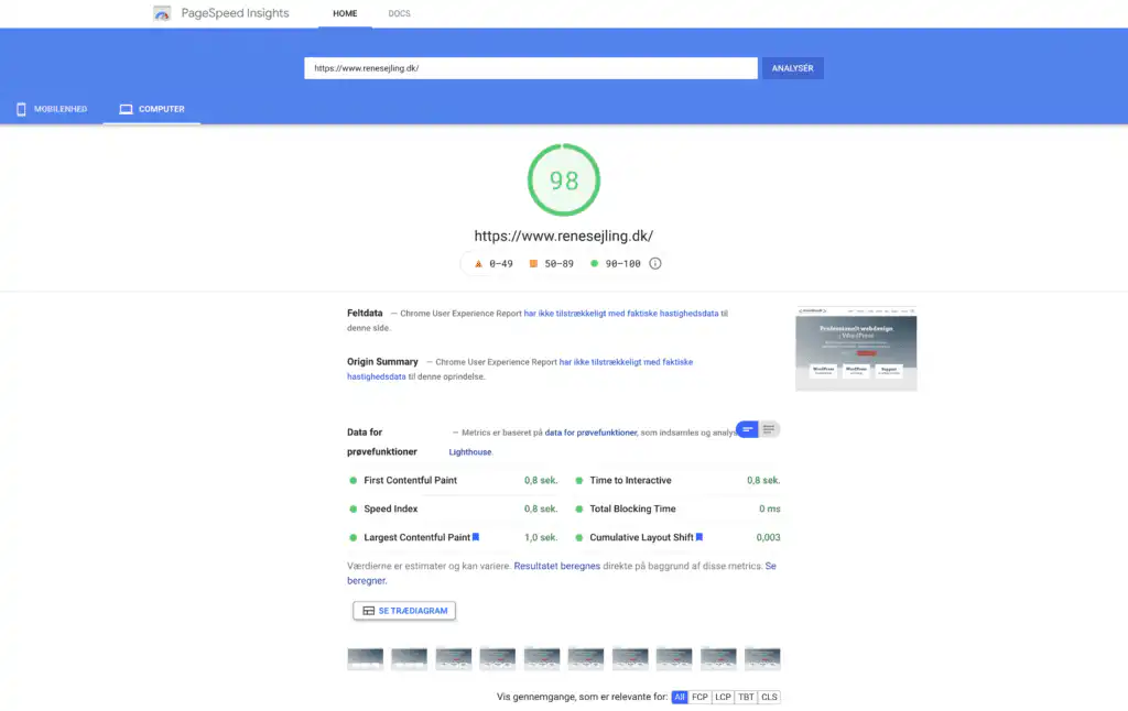 Hurtigere WordPress hjemmeside efter hastighedsoptimering. desktop 98 - renesejling.dk